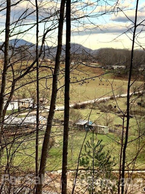 1 Higher Ground Ridge Waynesville, NC 28785 - Photo 14 of 16 Gallery Image 14