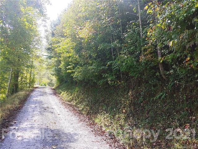1 Higher Ground Ridge Waynesville, NC 28785 - Photo 4 of 16 Gallery Image 4