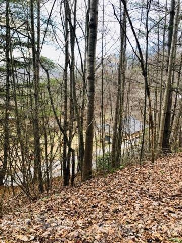 1 Higher Ground Ridge Waynesville, NC 28785 - Photo 8 of 16 Gallery Image 8