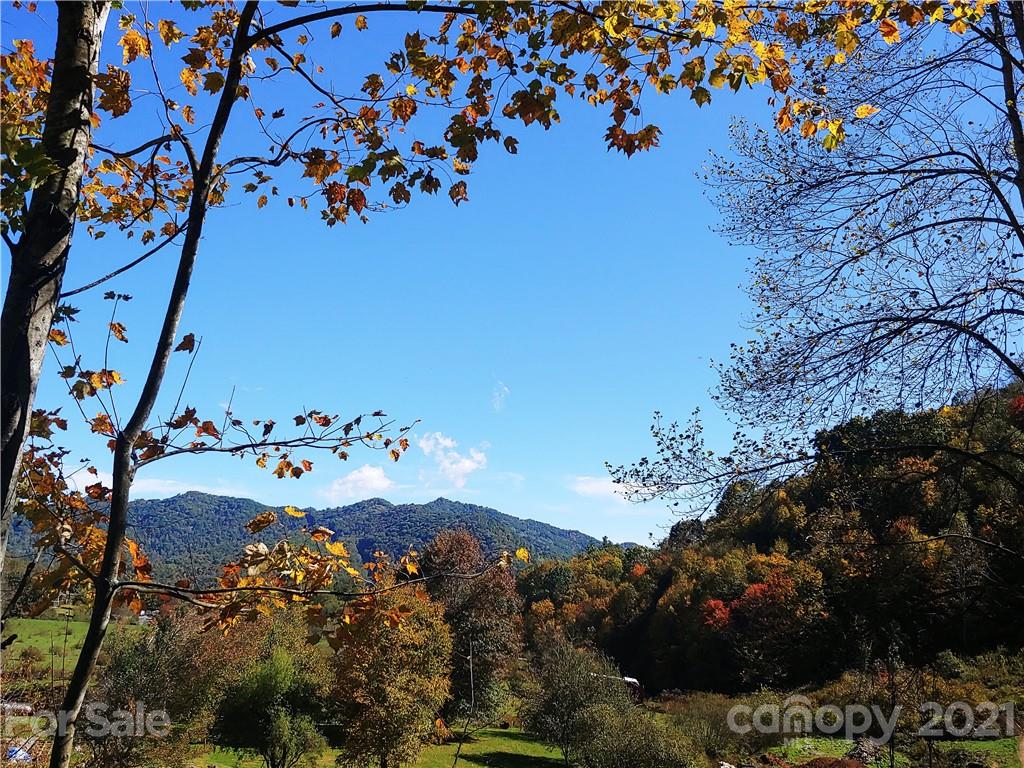 1 Higher Ground Ridge Waynesville, NC 28785 - Photo 9 of 16 Gallery Image 9
