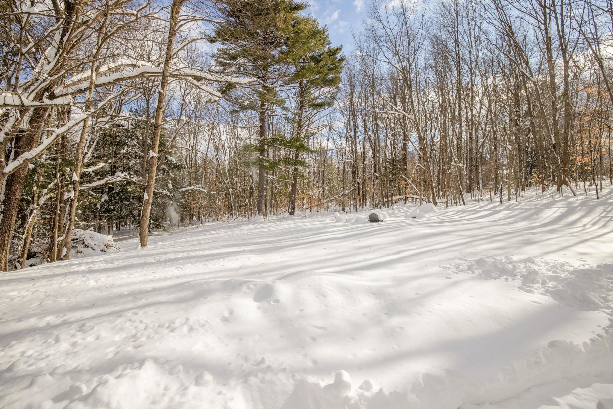 65 Diana Road Northfield, NH 03276 - Photo 4 of 32
