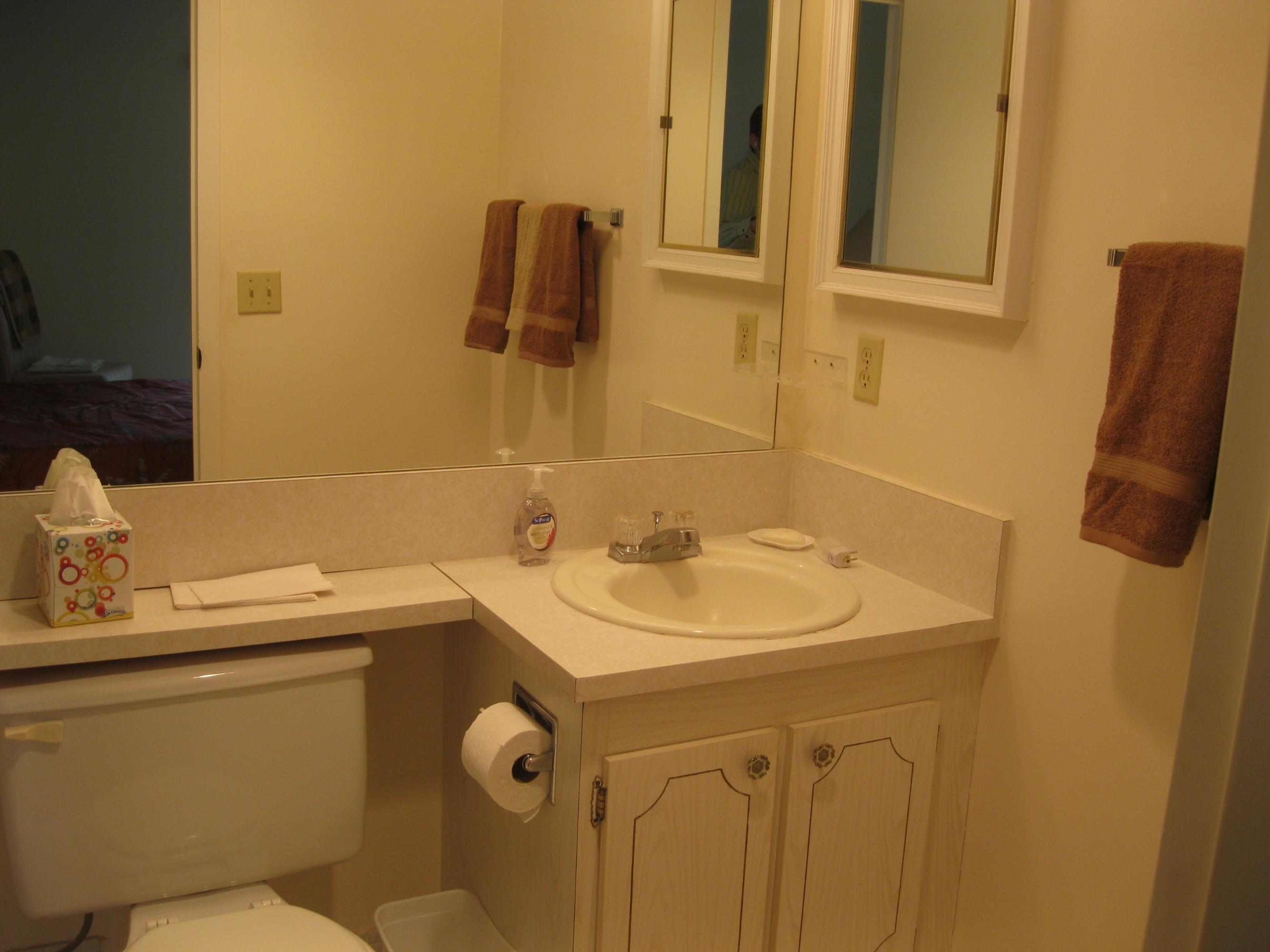 321 Preston H, Unit 3210 Boca Raton, FL 33434 - Photo 12 of 17 Master Bathroom