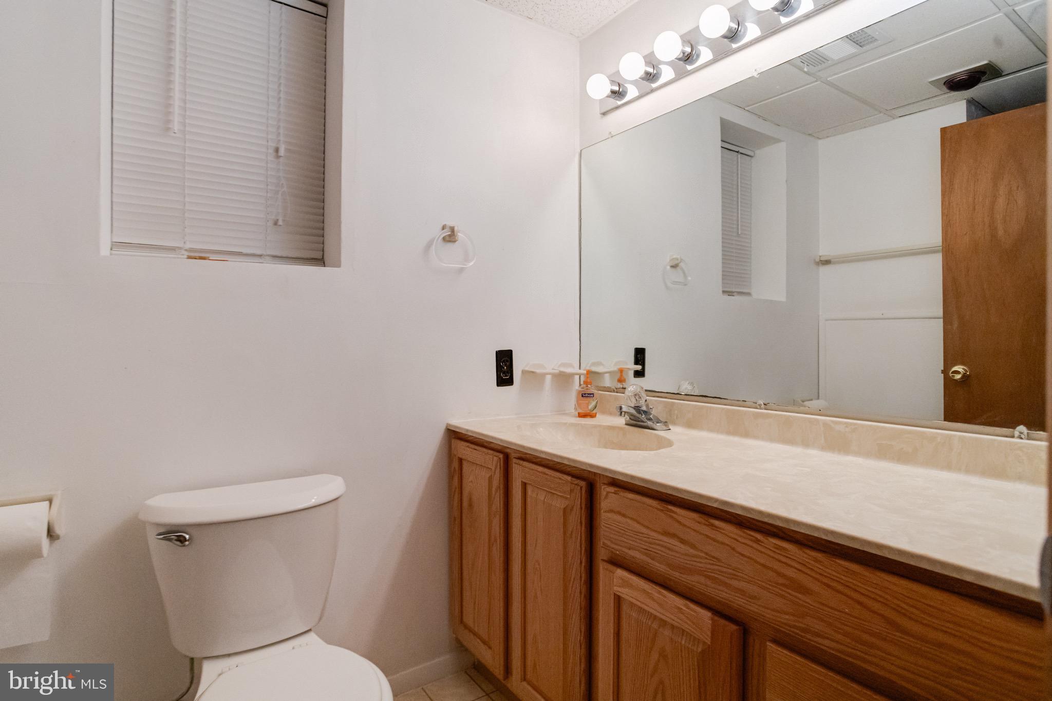 3160 Rolling Road Edgewater, MD 21037 - Photo 37 of 62 a bathroom with a toilet a sink and mirror