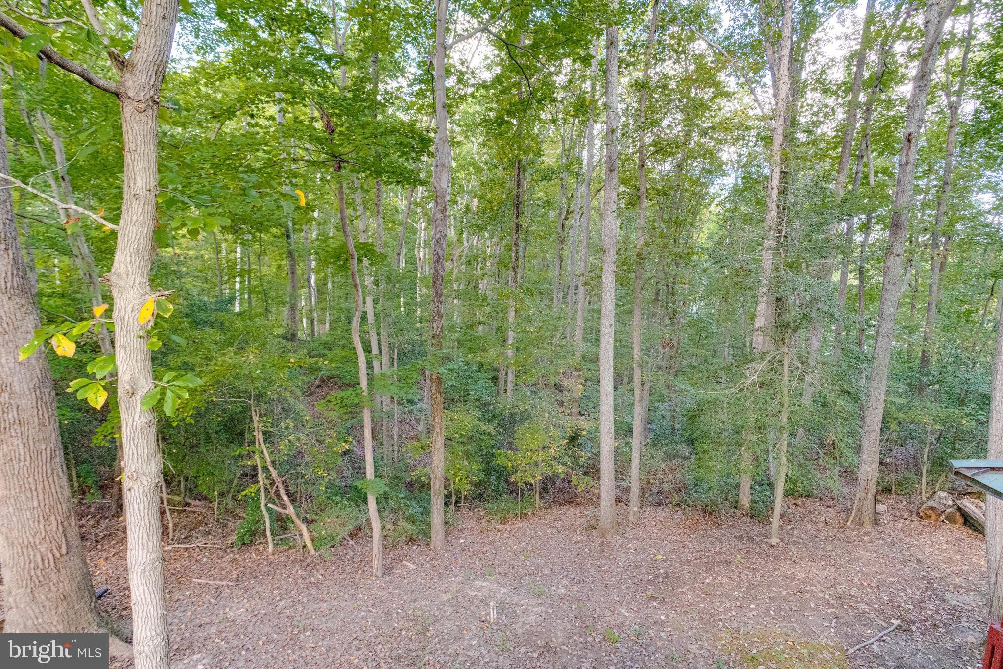 3160 Rolling Road Edgewater, MD 21037 - Photo 49 of 62 Treed Rear Lawn Privacy