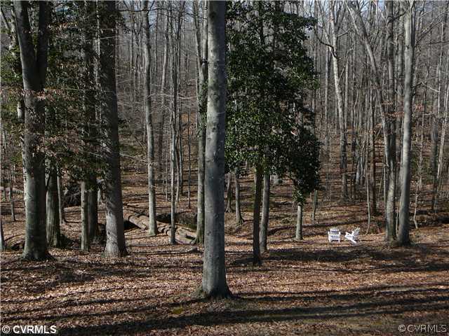 912 Rasmussen Drive Sandston, VA 23150 - Photo 3 of 12 Exterior Back - Natural Back Yard bordered by the
