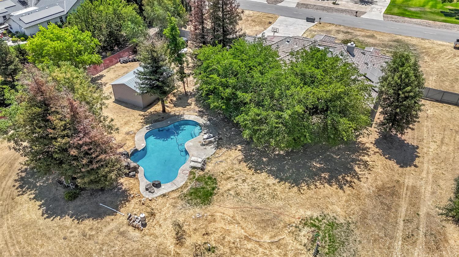 36065 Manon Avenue Madera, CA 93636 - Photo 47 of 50 a close up of a plant in a yard