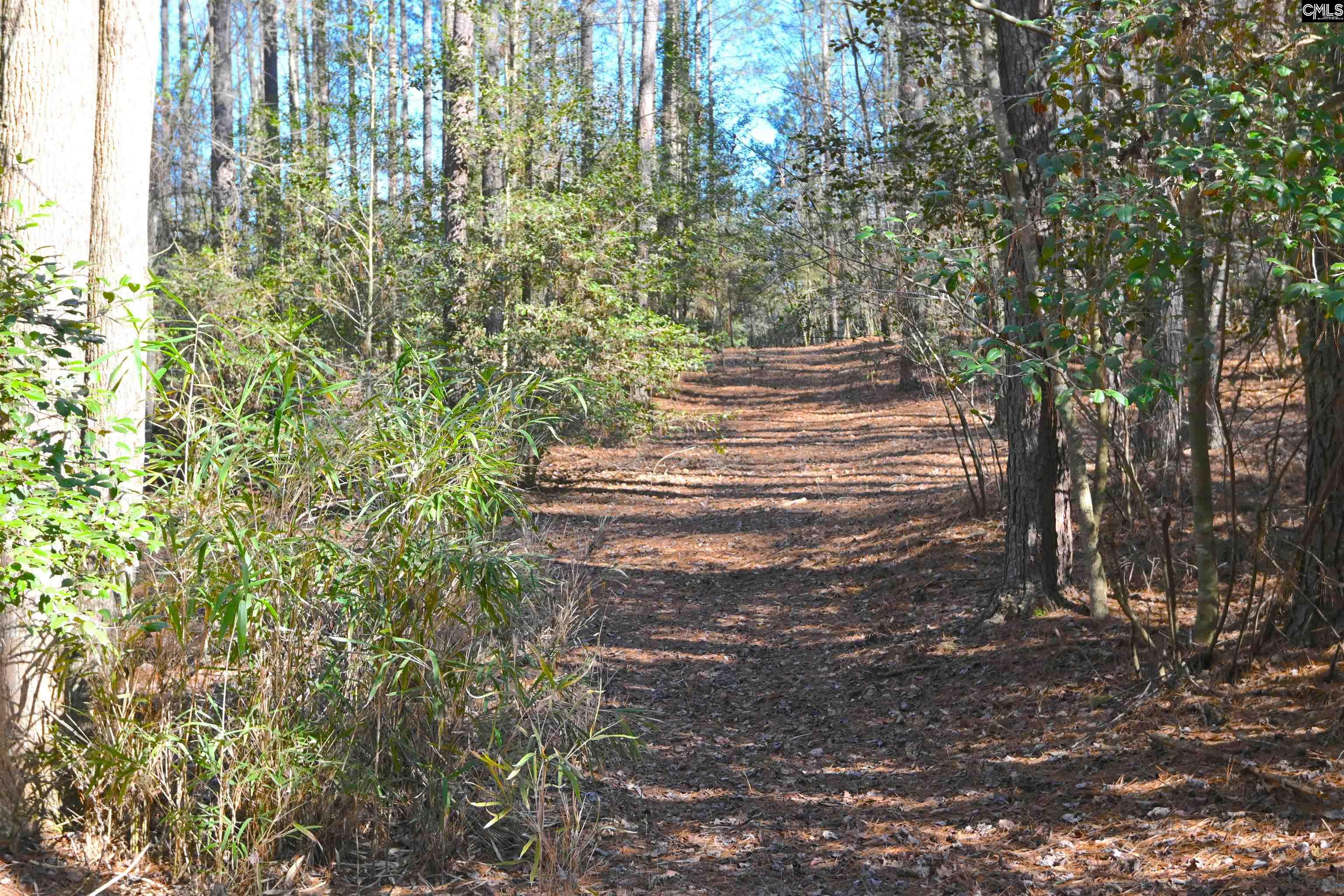 707 Mt Ebal Road Batesburg, SC 29006 - Photo 11 of 48