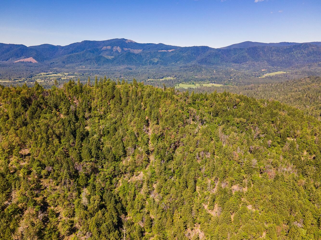 0 Sykes Creek Road Rogue River, OR 97537 - Photo 5 of 16 Gallery Image 5