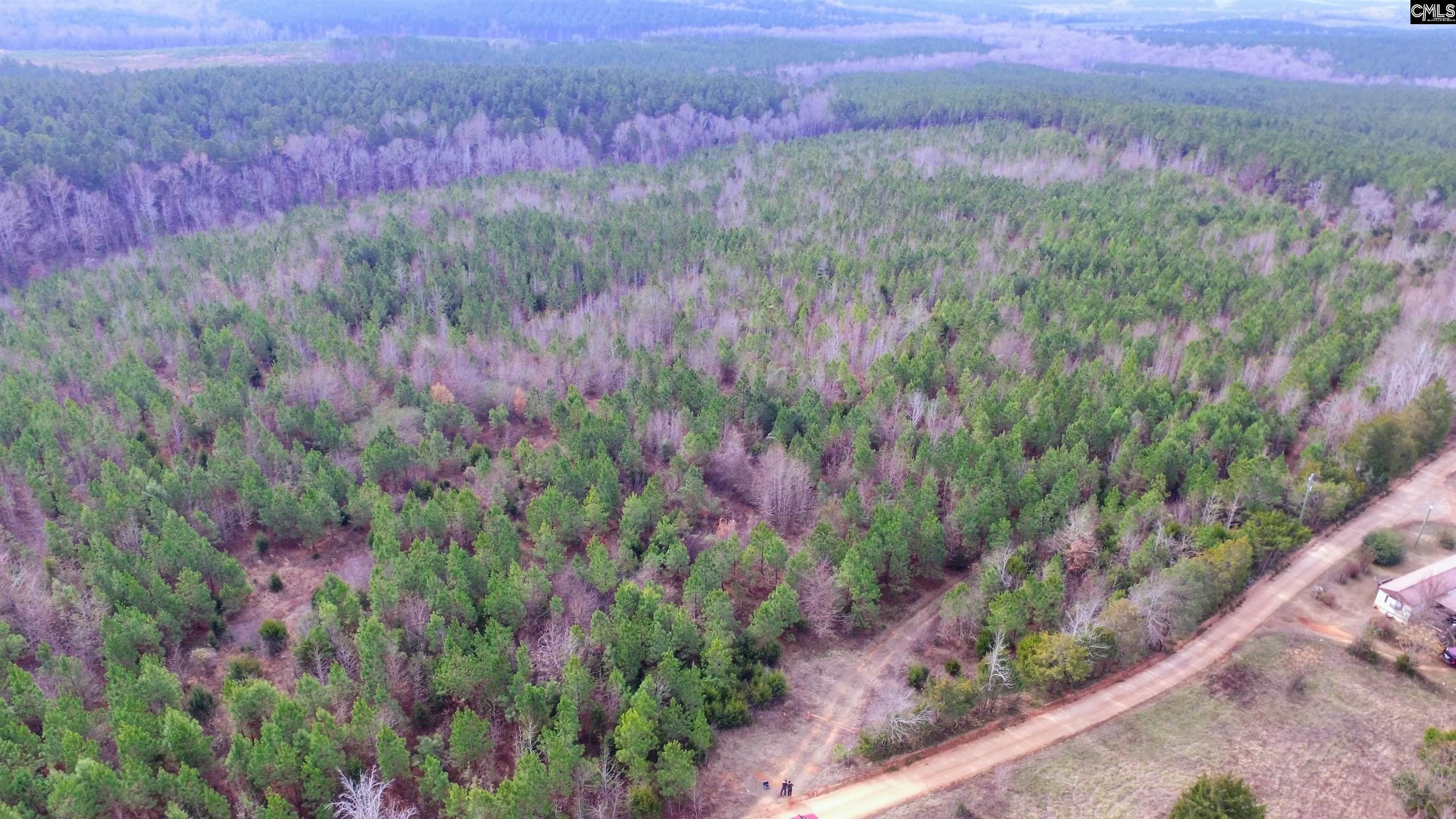 1163 June Berry Road Camden, SC 29020 - Photo 17 of 20