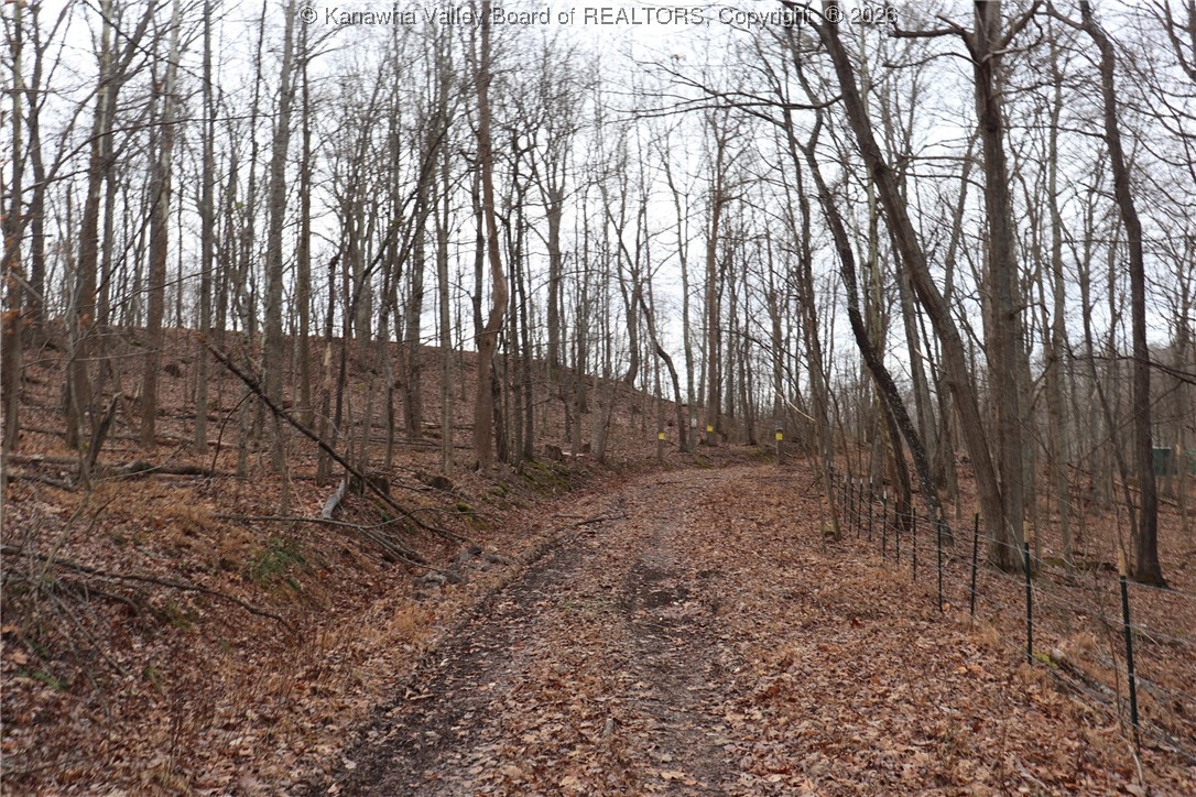 0 Route 12 Road Alum Creek, WV 25003 - Photo 4 of 44 Gallery Image 4
