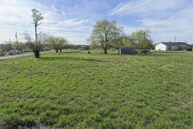 a view of a green field with trees