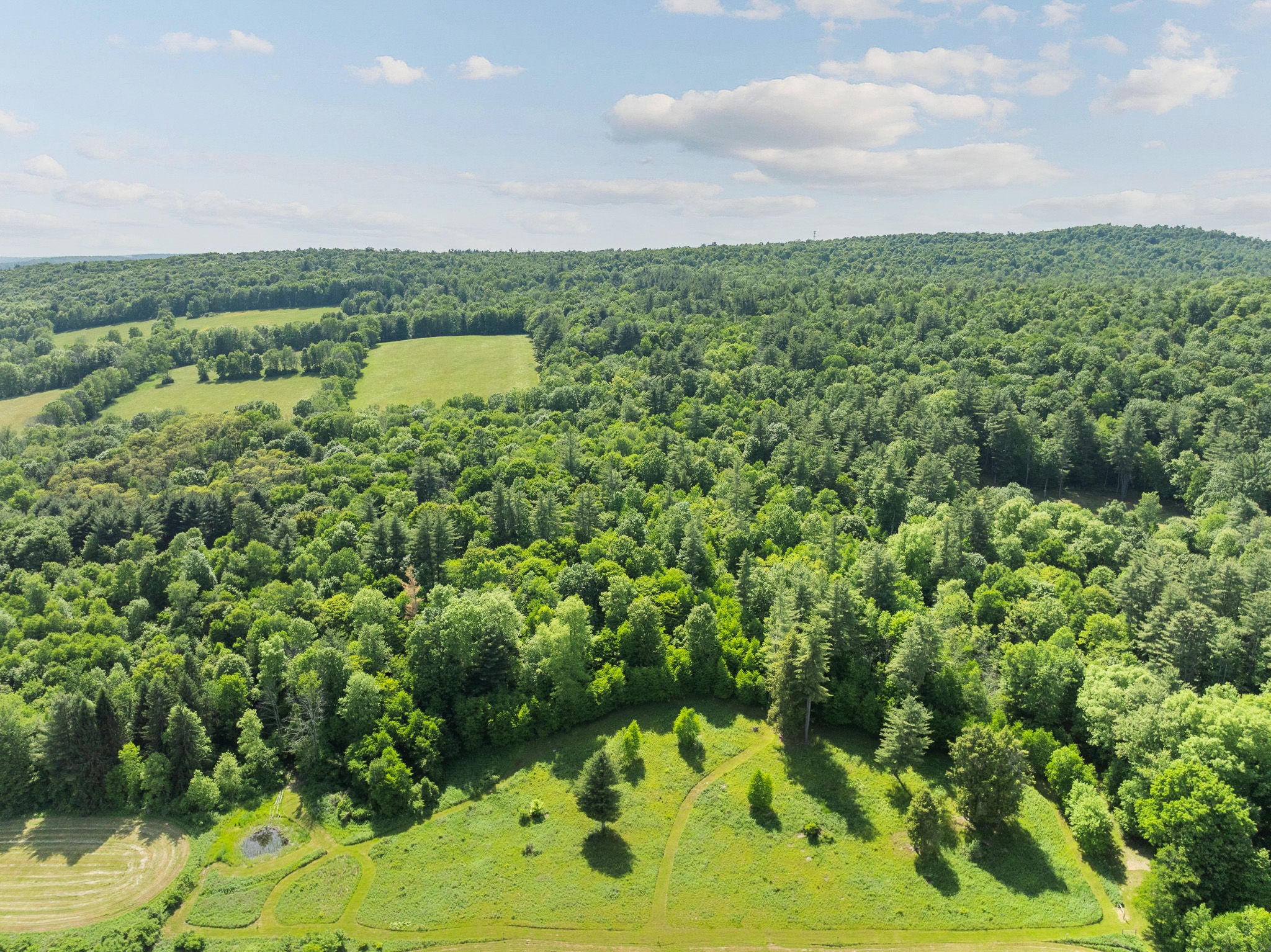 163 Race Road Greene, NY 13778 - Photo 11 of 42