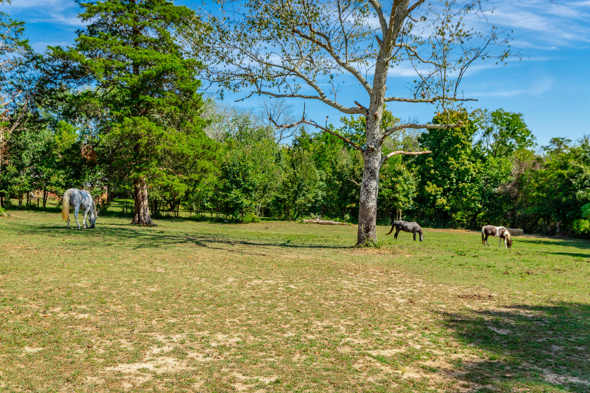 3481 Post Oak Road Ringgold, GA 30736 - Photo 83 of 112 3481 Post Oak Road HD-96