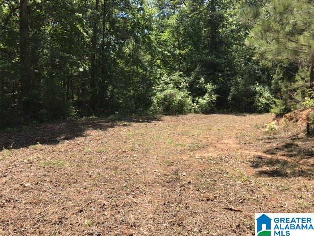 Wright Way Drive, Unit 3 Wedowee, AL 36278 - Photo 8 of 8