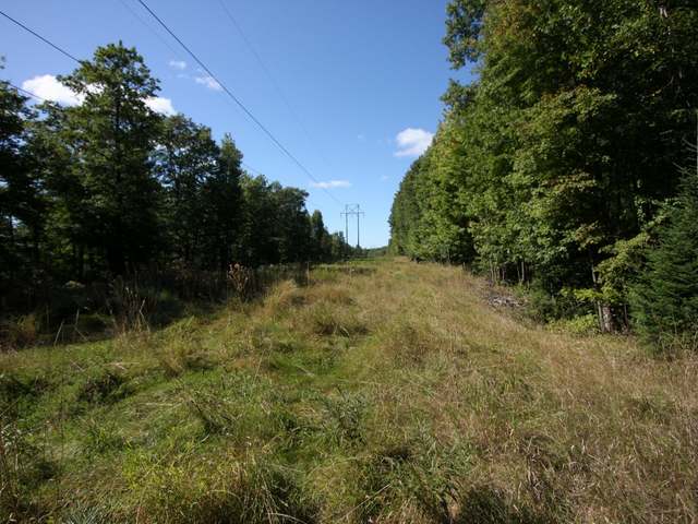 On Northwestern Drive Rhinelander, WI 54501 - Photo 10 of 12 Gallery Image 10