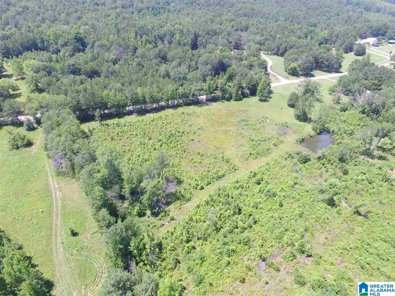 Slasham Road, Unit 10 Ashville, AL 35953 - Photo 5 of 9