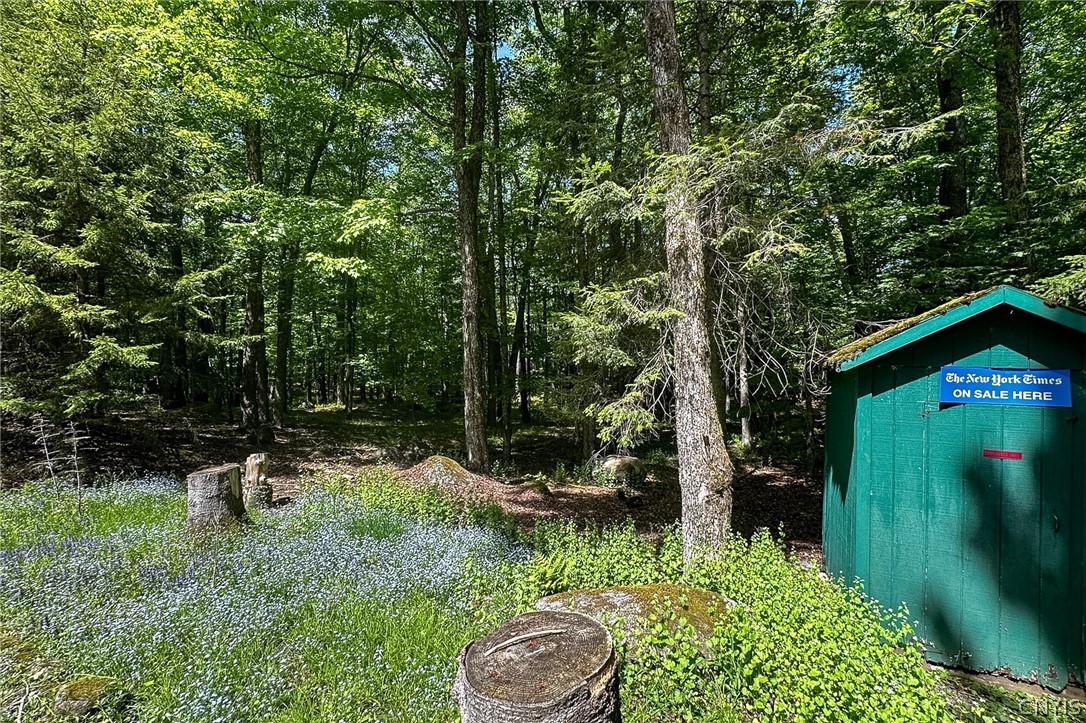 291 Joy Tract Road Webb, NY 13420 - Photo 19 of 24