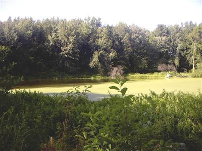 263 Browntown Road Buchanan, MI 49107 - Photo 17 of 18 Additional Photo