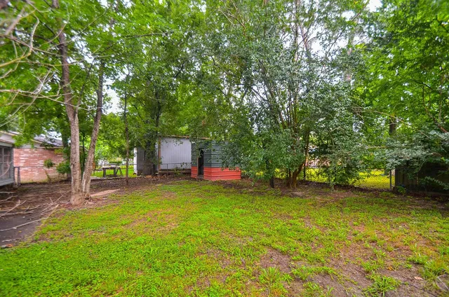 a view of a yard with a tree