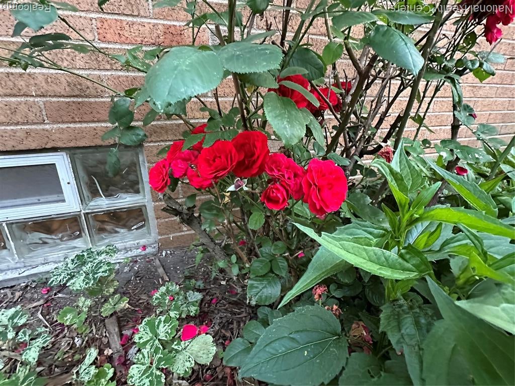 821 Pemberton Road Grosse Pointe, MI 48230 - Photo 67 of 68 Gallery Image 67