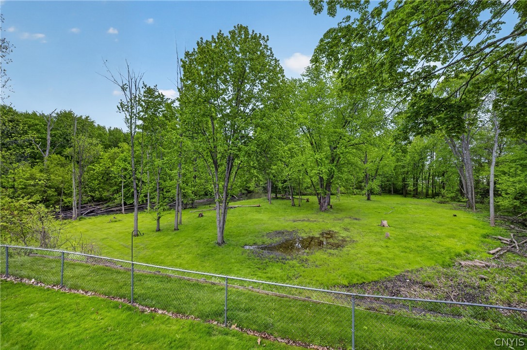 400 East Avenue Manlius, NY 13116 - Photo 47 of 50