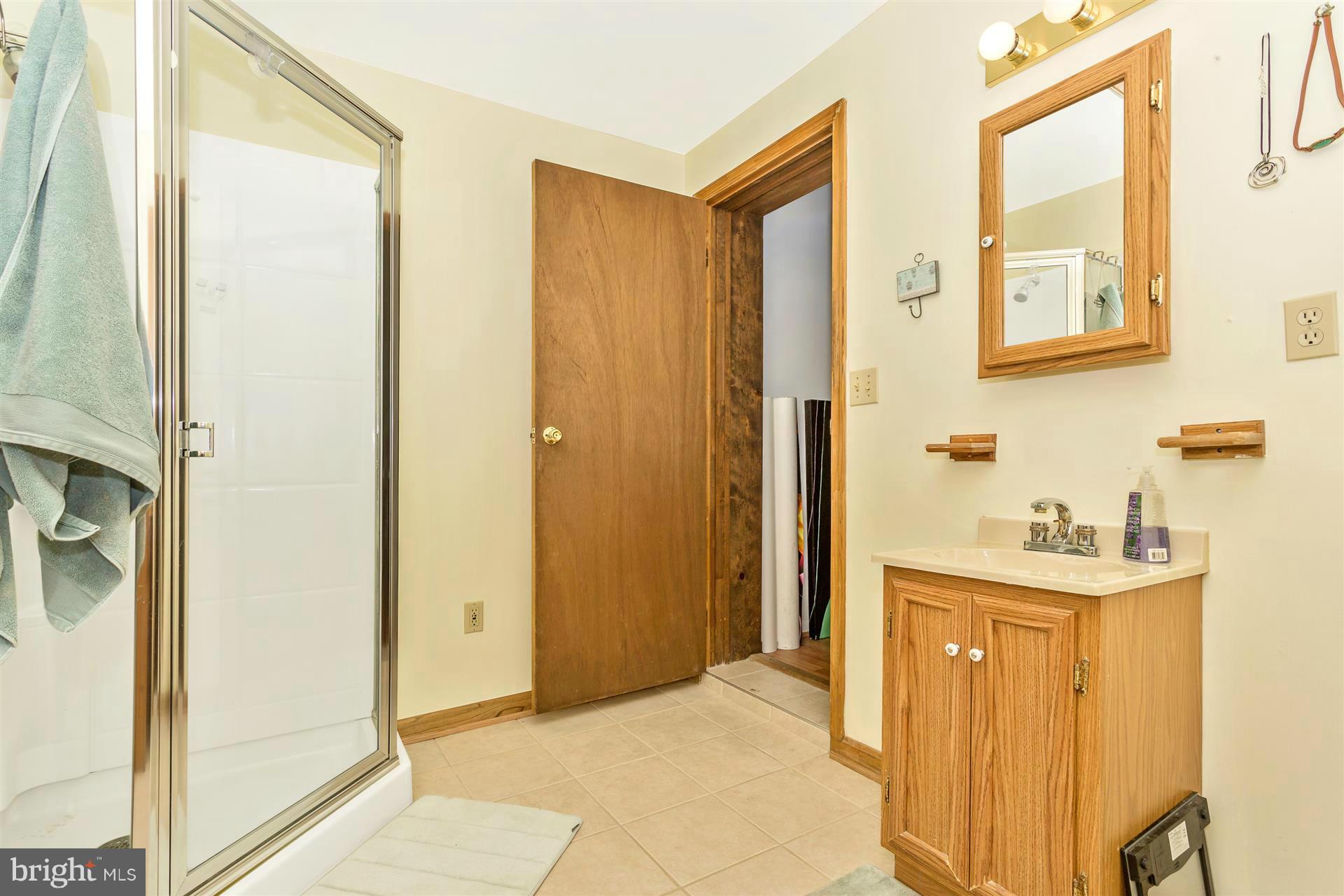 4834 Old Swimming Pool Road Frederick, MD 21703 - Photo 17 of 27 a bathroom with a sink a mirror and a shower