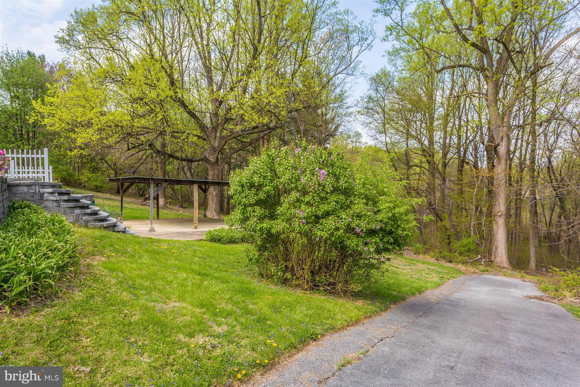 4834 Old Swimming Pool Road Frederick, MD 21703 - Photo 21 of 27 a view of backyard with green space