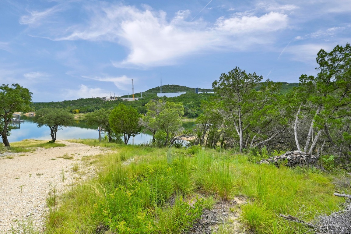 9006 Lime Creek Road Leander, TX 78641 - Photo 4 of 18 a view of a big yard with lots of green space and plants