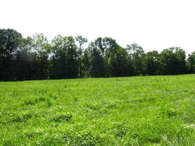 2621 Bell Road Morgantown, IN 46160 - Photo 6 of 11 Gallery Image 6