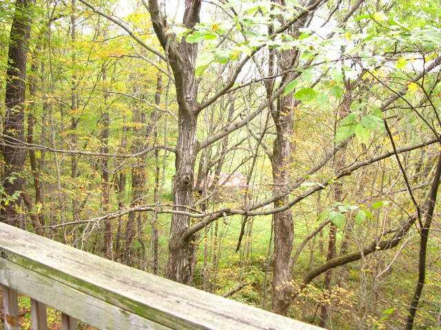 2621 Bell Road Morgantown, IN 46160 - Photo 7 of 11 Gallery Image 7