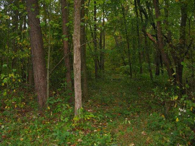 2621 Bell Road Morgantown, IN 46160 - Photo 9 of 11 Gallery Image 9