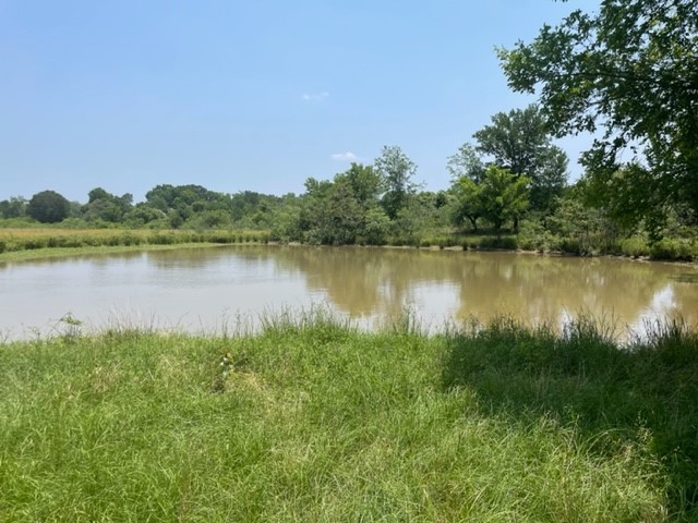 a view of a lake with a mountain in the background