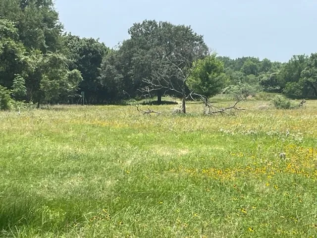 $1,450,000 | 1010 County Road 490, Elgin, TX 78621