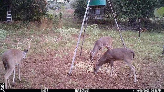 $1,450,000 | 1010 County Road 490, Elgin, TX 78621