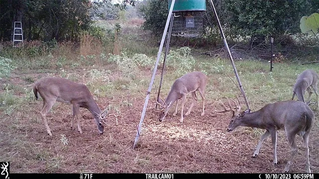 $1,450,000 | 1010 County Road 490, Elgin, TX 78621