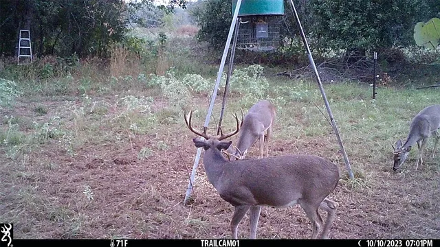 $1,450,000 | 1010 County Road 490, Elgin, TX 78621