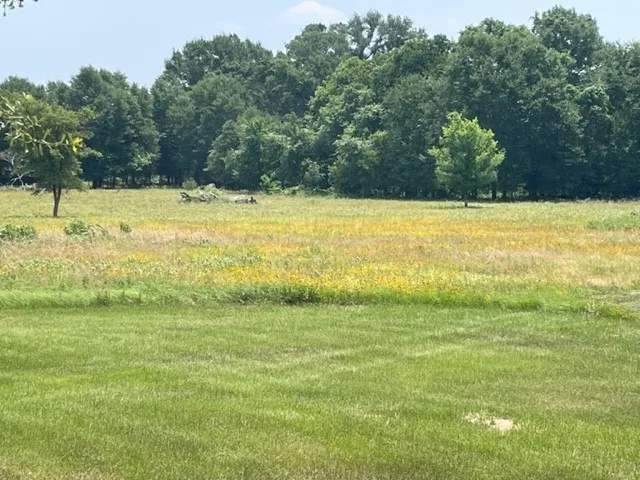 $1,450,000 | 1010 County Road 490, Elgin, TX 78621