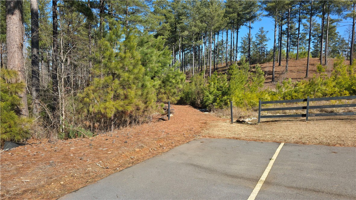 141 Bailey Street Six Mile, SC 29682 - Photo 12 of 12