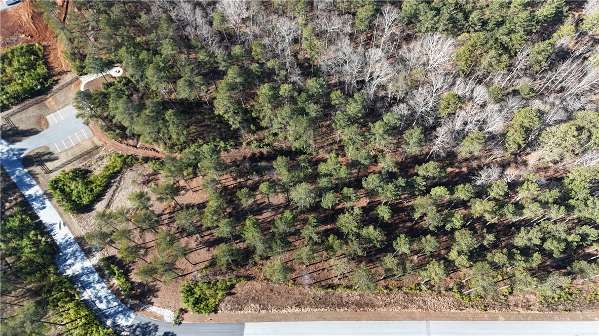 141 Bailey Street Six Mile, SC 29682 - Photo 4 of 12