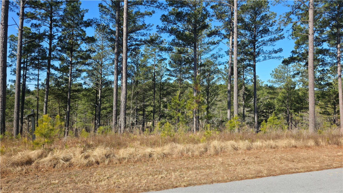 141 Bailey Street Six Mile, SC 29682 - Photo 5 of 12