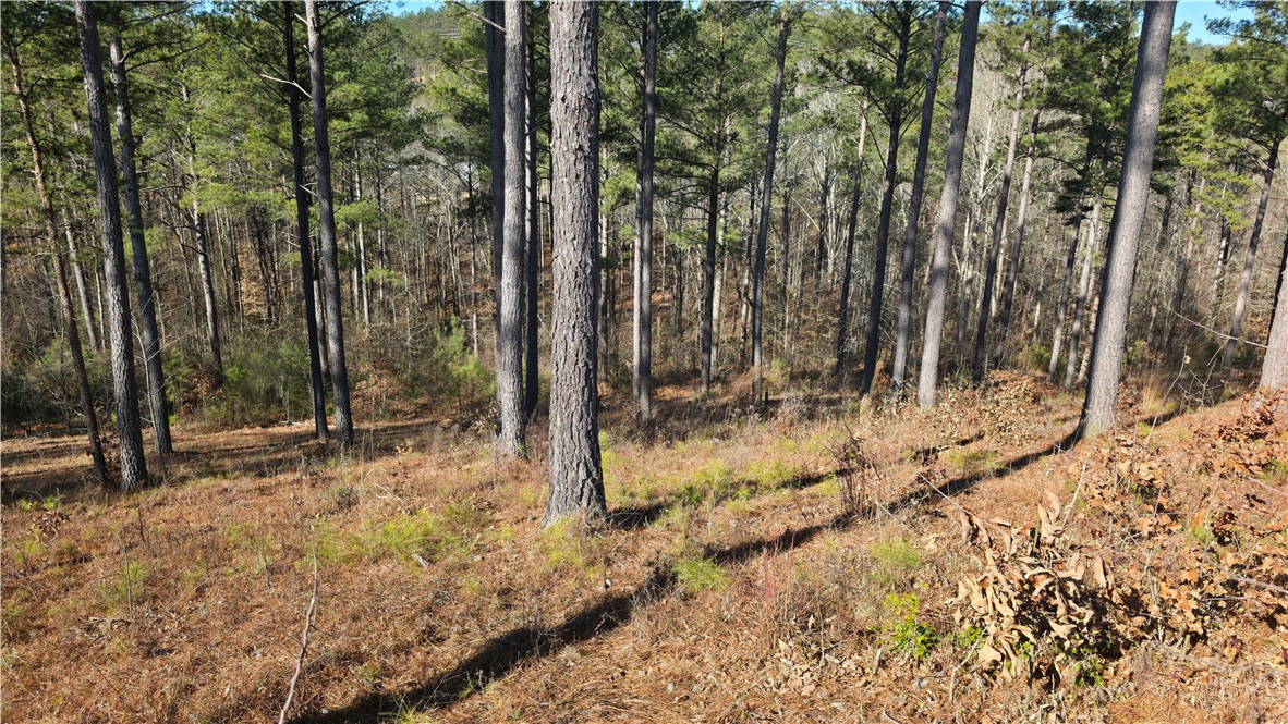 141 Bailey Street Six Mile, SC 29682 - Photo 6 of 12