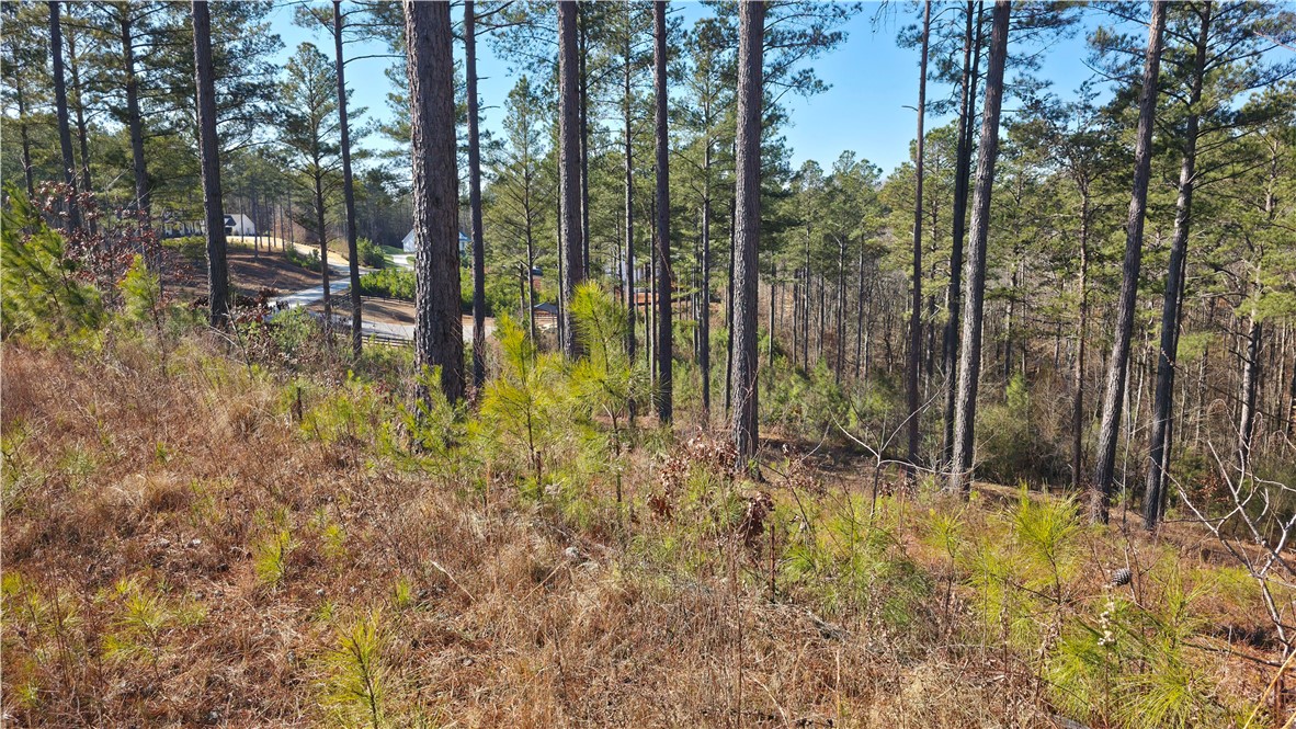 141 Bailey Street Six Mile, SC 29682 - Photo 7 of 12