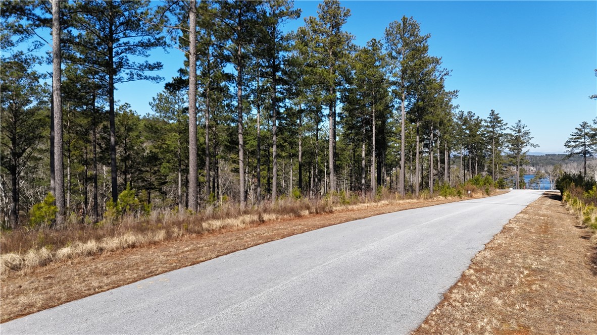 141 Bailey Street Six Mile, SC 29682 - Photo 8 of 12