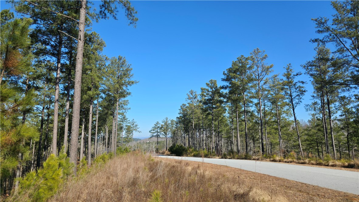 141 Bailey Street Six Mile, SC 29682 - Photo 9 of 12