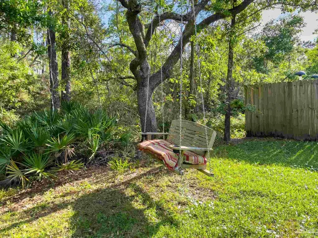 a view of a park with large trees