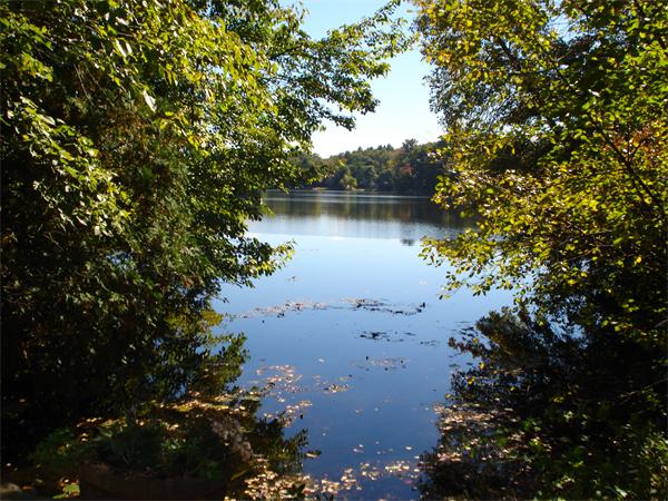 10 Pickerel Road Wellesley, MA 01760 - Photo 2 of 22 a view of lake with green space
