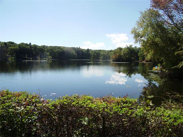 10 Pickerel Road Wellesley, MA 01760 - Photo 4 of 22 an ocean view with a lake