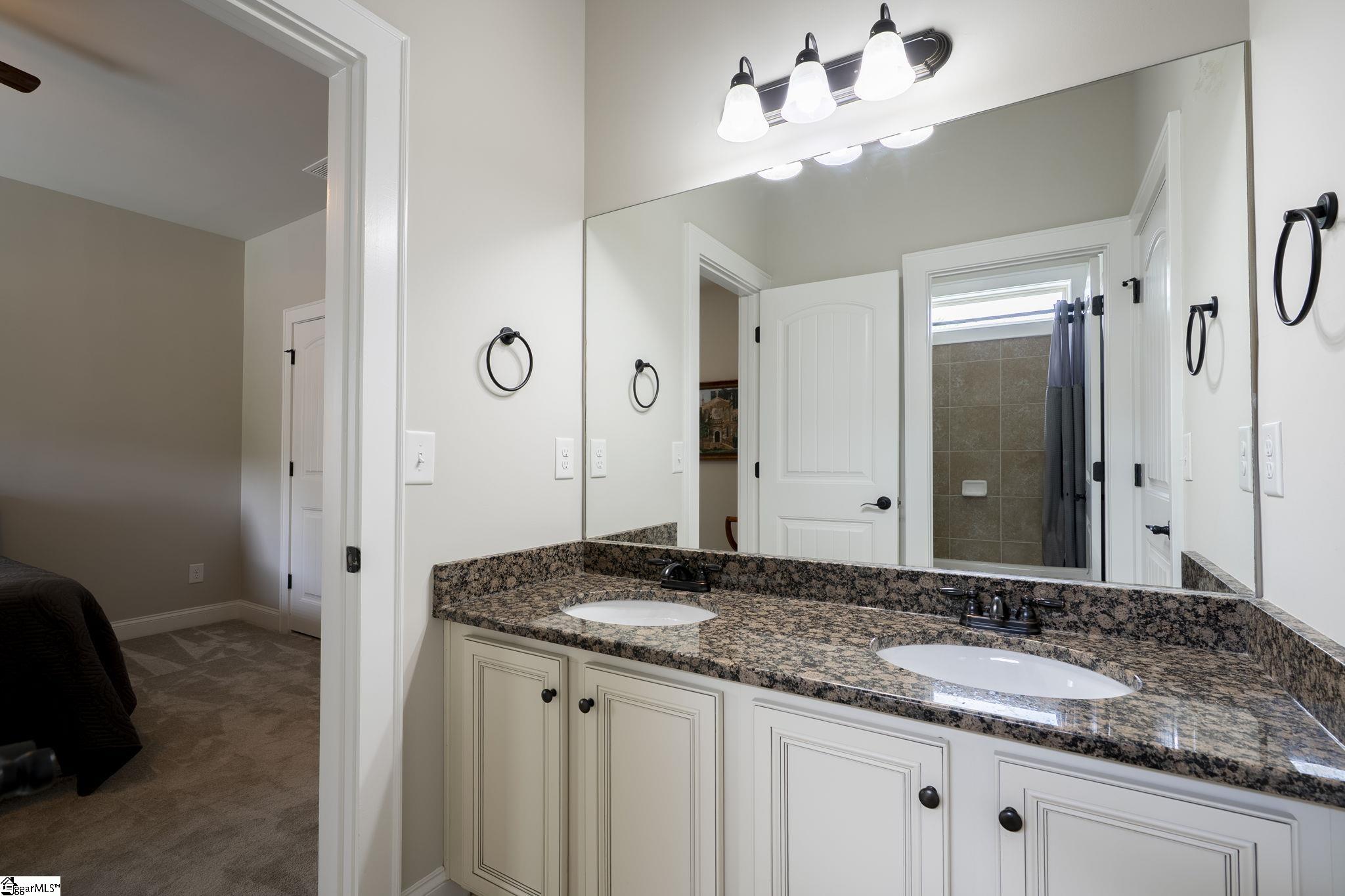 3 Wild Indigo Circle Greenville, SC 29607 - Photo 36 of 50