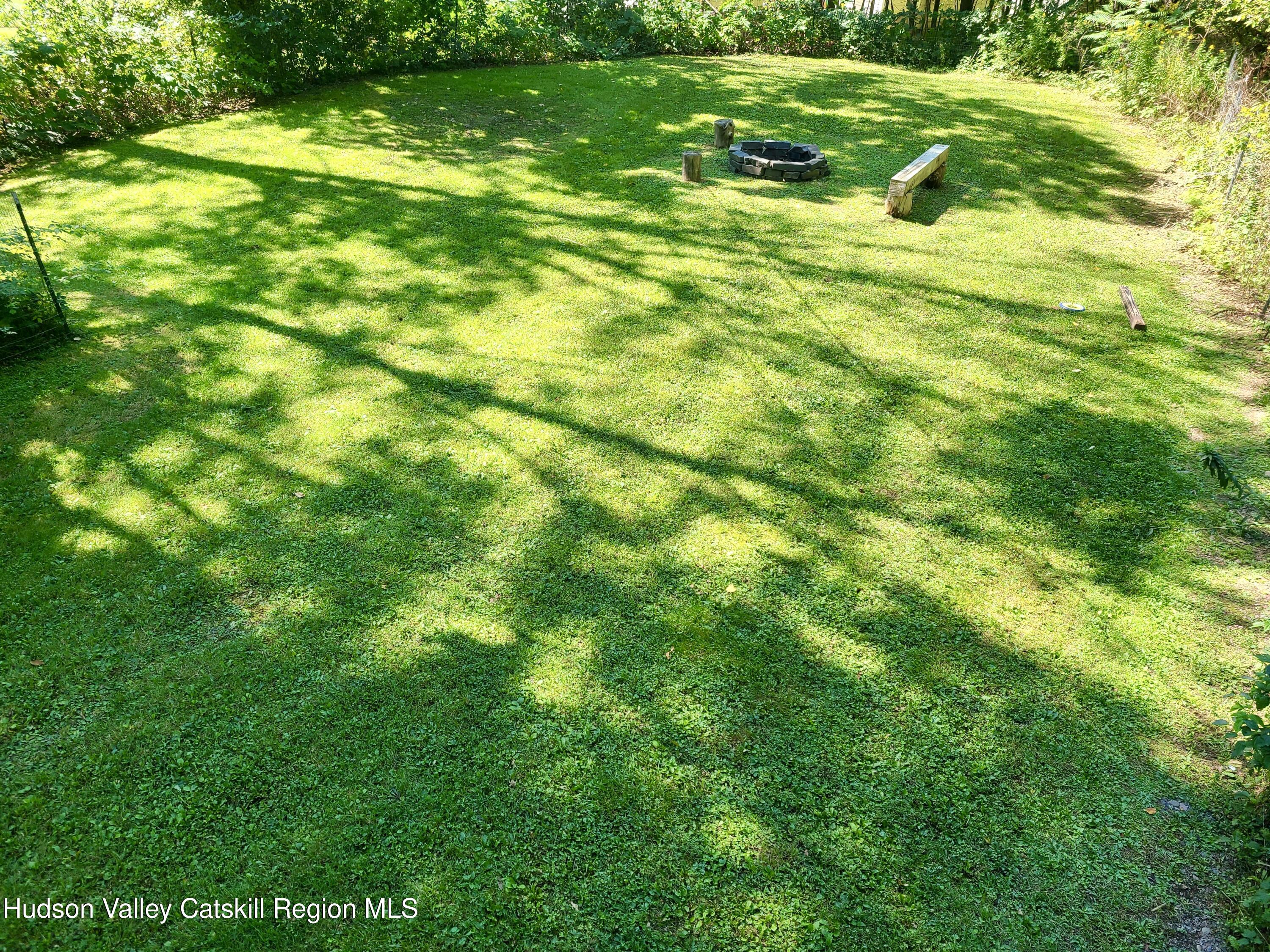 11 Rose Mountain Road Pine Hill, NY 12465 - Photo 19 of 26 a view of a field with a tree