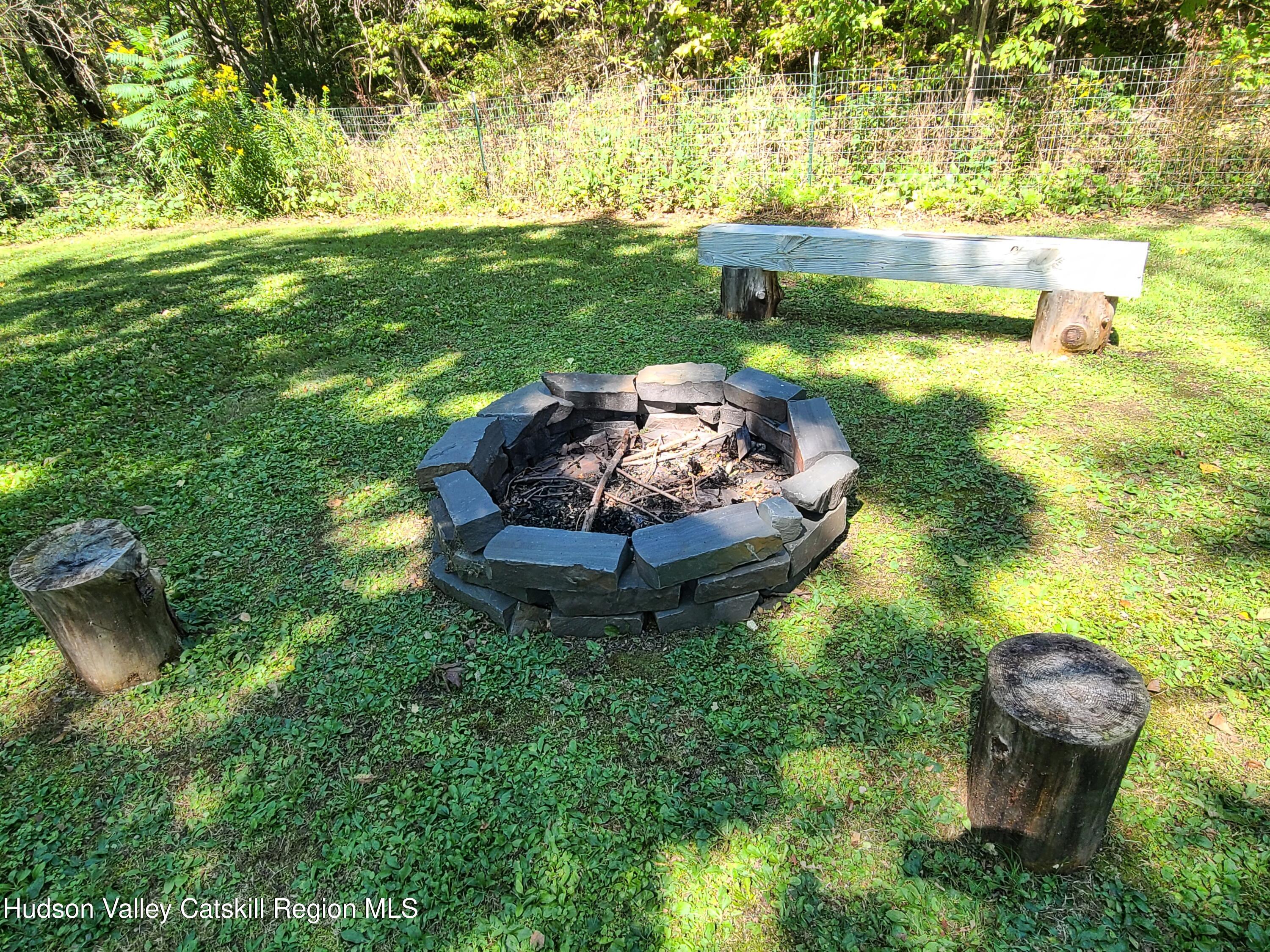 11 Rose Mountain Road Pine Hill, NY 12465 - Photo 20 of 26 a view of a backyard with plants and lake